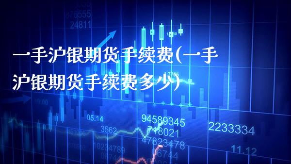 一手沪银期货手续费(一手沪银期货手续费多少) (https://www.njaxzs.com/) 期货行情 第1张