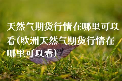 天然气期货行情在哪里可以看(欧洲天然气期货行情在哪里可以看) (https://www.njaxzs.com/) 期货开户 第1张