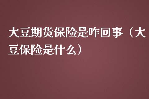 大豆期货保险是咋回事（大豆保险是什么） (https://www.njaxzs.com/) 期货直播间 第1张