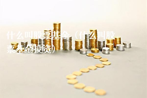 什么叫股票基金（什么叫股票基金投资） (https://www.njaxzs.com/) 期货直播间 第1张