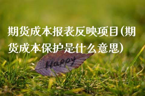 期货成本报表反映项目(期货成本保护是什么意思) (https://www.njaxzs.com/) 期货开户 第1张