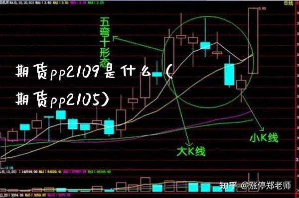 期货pp2109是什么（期货pp2105） (https://www.njaxzs.com/) 期货直播间 第1张