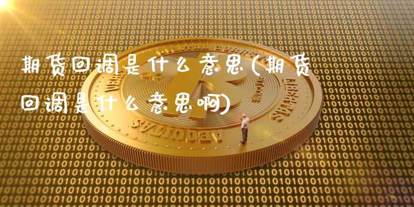 期货回调是什么意思(期货回调是什么意思啊) (https://www.njaxzs.com/) 期货直播间 第1张