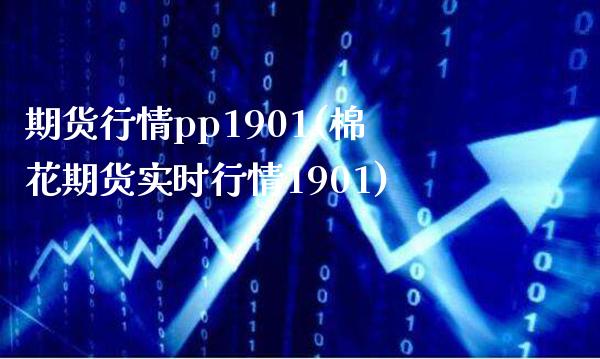 期货行情pp1901(棉花期货实时行情1901) (https://www.njaxzs.com/) 期货行情 第1张