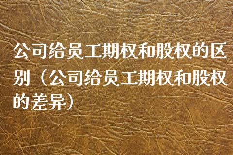 公司给员工期权和股权的区别（公司给员工期权和股权的差异） (https://www.njaxzs.com/) 原油期货 第1张