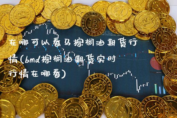 在哪可以看马棕榈油期货行情(bmd棕榈油期货实时行情在哪看) (https://www.njaxzs.com/) 期货开户 第1张