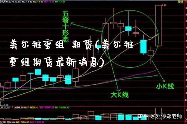 美尔雅重组 期货(美尔雅重组期货最新消息) (https://www.njaxzs.com/) 期货直播间 第1张