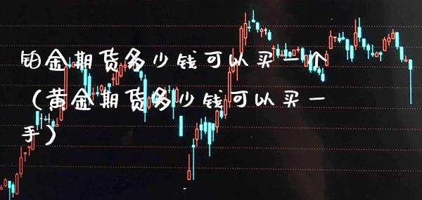 铂金期货多少钱可以买一个（黄金期货多少钱可以买一手） (https://www.njaxzs.com/) 期货直播间 第1张