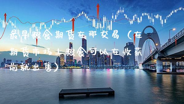 最早粮食期货在那交易(在期货市场上粮食可以在收获前就) 期货行情 第1张-爱新财经 最早粮食期货在那交易(在期货市场上粮食可以在收获前就) (https://www.njaxzs.com/) 期货行情 第1张