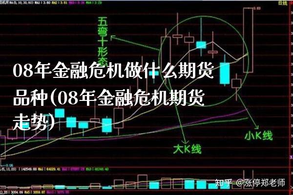 08年金融危机做什么期货品种(08年金融危机期货走势) (https://www.njaxzs.com/) 期货投资 第1张