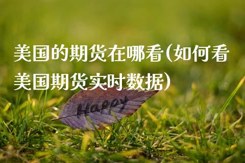 美国的期货在哪看(如何看美国期货实时数据) (https://www.njaxzs.com/) 原油期货 第1张