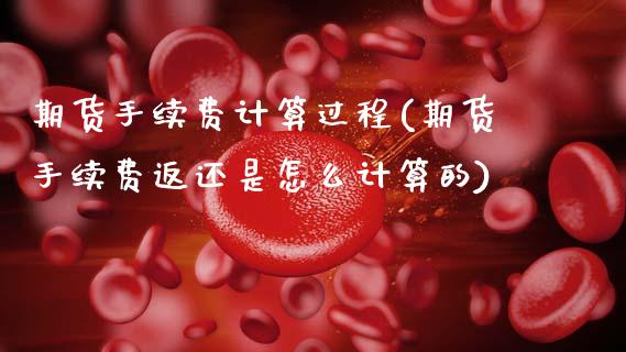 期货手续费计算过程(期货手续费返还是怎么计算的) (https://www.njaxzs.com/) 期货行情 第1张