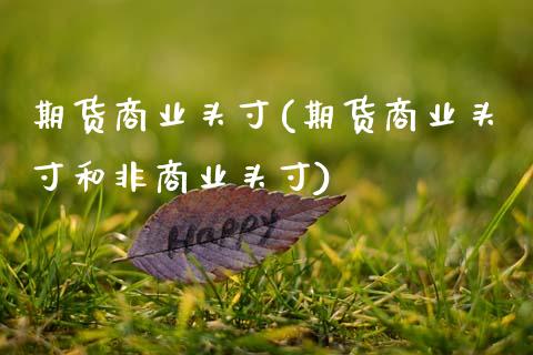 期货商业头寸(期货商业头寸和非商业头寸) (https://www.njaxzs.com/) 期货直播间 第1张