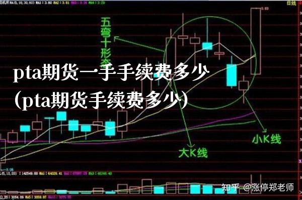 pta期货一手手续费多少(pta期货手续费多少) (https://www.njaxzs.com/) 期货投资 第1张