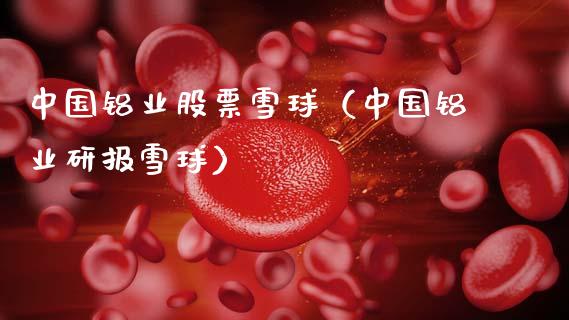 中国铝业股票雪球（中国铝业研报雪球） (https://www.njaxzs.com/) 期货直播间 第1张