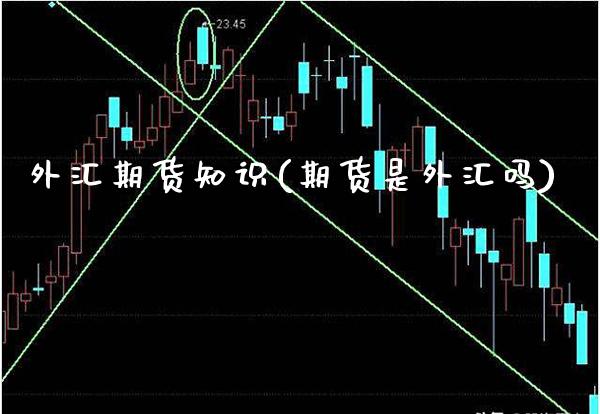 外汇期货知识(期货是外汇吗) (https://www.njaxzs.com/) 期货行情 第1张