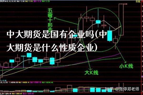 中大期货是国有企业吗(中大期货是什么性质企业) (https://www.njaxzs.com/) 期货投资 第1张