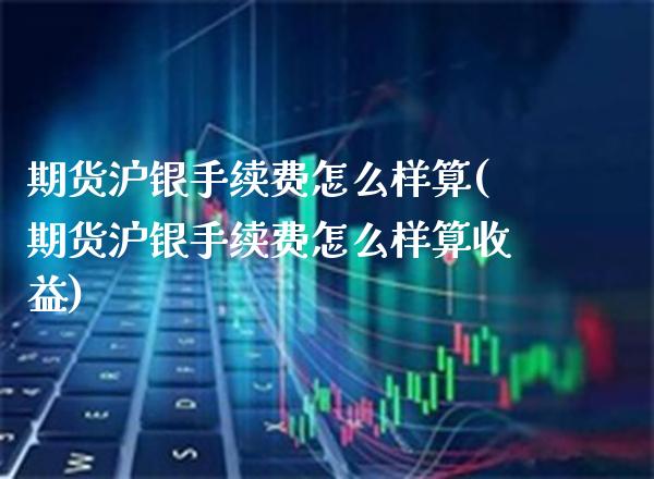 期货沪银手续费怎么样算(期货沪银手续费怎么样算收益) (https://www.njaxzs.com/) 期货开户 第1张