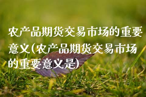 农产品期货交易市场的重要意义(农产品期货交易市场的重要意义是) (https://www.njaxzs.com/) 原油期货 第1张