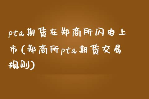 pta期货在郑商所闪电上市(郑商所pta期货交易规则) (https://www.njaxzs.com/) 期货行情 第1张