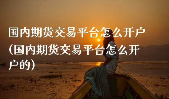 国内期货交易平台怎么开户(国内期货交易平台怎么开户的) (https://www.njaxzs.com/) 黄金期货 第1张