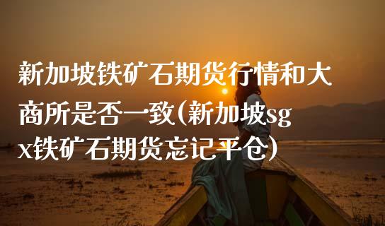 新加坡铁矿石期货行情和大商所是否一致(新加坡sgx铁矿石期货忘记平仓) (https://www.njaxzs.com/) 期货行情 第1张