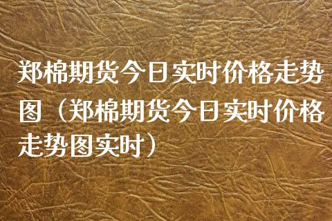 郑棉期货今日实时走势图（郑棉期货今日实时走势图实时） (https://www.njaxzs.com/) 期货直播间 第1张