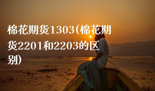 棉花期货1303(棉花期货2201和2203的区别) (https://www.njaxzs.com/) 黄金期货 第1张
