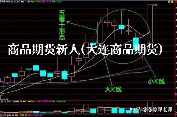 商品期货新人(大连商品期货) (https://www.njaxzs.com/) 期货行情 第1张
