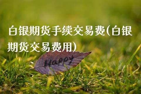 白银期货手续交易费(白银期货交易费用) (https://www.njaxzs.com/) 期货直播间 第1张