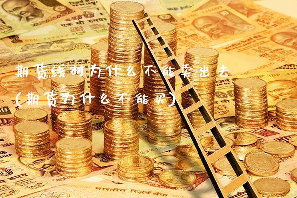 期货线材为什么不能卖出去(期货为什么不能买) (https://www.njaxzs.com/) 内盘期货 第1张
