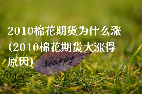 2010棉花期货为什么涨(2010棉花期货大涨得原因) (https://www.njaxzs.com/) 黄金期货 第1张