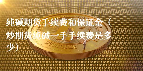 纯碱期货手续费和保证金（炒期货纯碱一手手续费是多少） (https://www.njaxzs.com/) 内盘期货 第1张