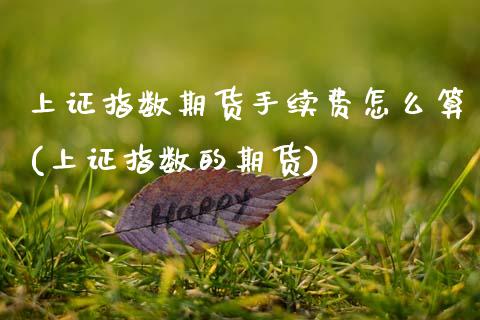 上证指数期货手续费怎么算(上证指数的期货) (https://www.njaxzs.com/) 原油期货 第1张