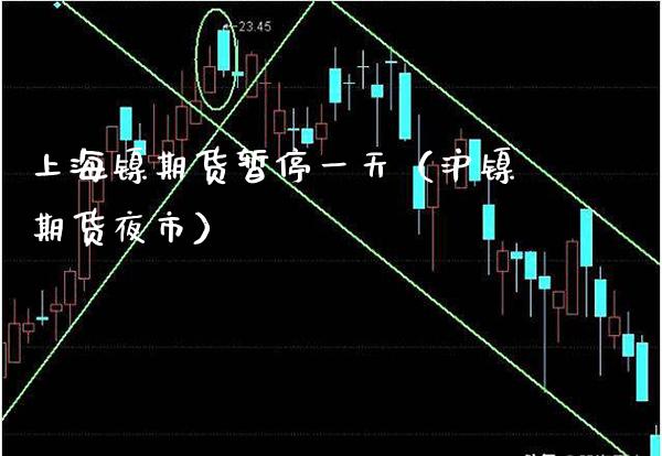 上海镍期货暂停一天（沪镍期货夜市） (https://www.njaxzs.com/) 期货直播间 第1张