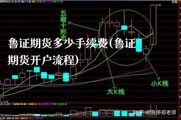 鲁证期货多少手续费(鲁证期货开户流程) (https://www.njaxzs.com/) 原油期货 第1张