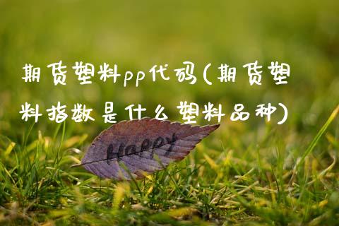 期货塑料pp代码(期货塑料指数是什么塑料品种) (https://www.njaxzs.com/) 期货开户 第1张