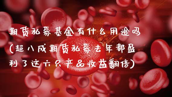 期货私募基金有什么用途吗(超八成期货私募去年都盈利了这六只产品收益翻倍) 期货行情 第1张-爱新财经 期货私募基金有什么用途吗(超八成期货私募去年都盈利了这六只产品收益翻倍) (https://www.njaxzs.com/) 期货行情 第1张