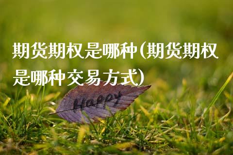 期货期权是哪种(期货期权是哪种交易方式) (https://www.njaxzs.com/) 期货行情 第1张