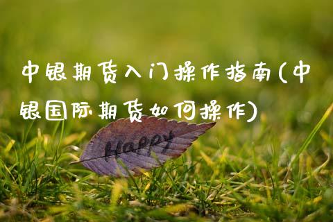 中银期货入门操作指南(中银国际期货如何操作) (https://www.njaxzs.com/) 期货行情 第1张