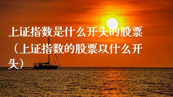 上证指数是什么开头的股票（上证指数的股票以什么开头） (https://www.njaxzs.com/) 期货直播间 第1张