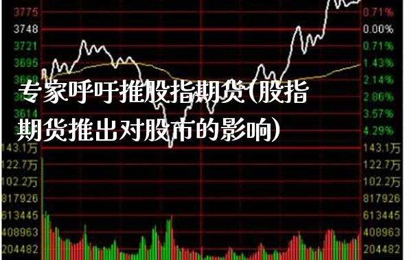 专家呼吁推股指期货(股指期货推出对股市的影响) (https://www.njaxzs.com/) 期货投资 第1张