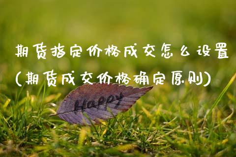 期货指定价格成交怎么设置(期货成交价格确定原则) (https://www.njaxzs.com/) 期货开户 第1张
