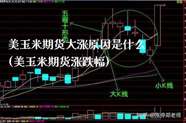 美玉米期货大涨原因是什么(美玉米期货涨跌幅) (https://www.njaxzs.com/) 黄金期货 第1张