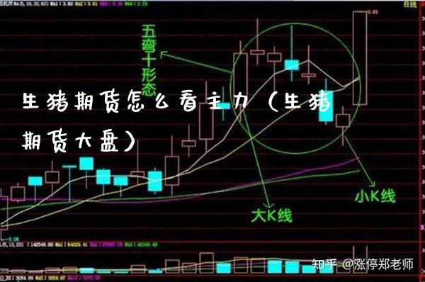 生猪期货怎么看主力（生猪期货大盘） (https://www.njaxzs.com/) 期货直播间 第1张