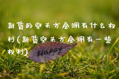 期货的空头方会拥有什么权利(期货空头方会拥有一些权利) (https://www.njaxzs.com/) 期货直播间 第1张