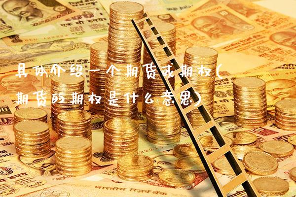 具体介绍一个期货或期权(期货的期权是什么意思) (https://www.njaxzs.com/) 原油期货 第1张