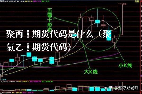 聚丙烯期货代码是什么（聚乙烯期货代码） (https://www.njaxzs.com/) 内盘期货 第1张