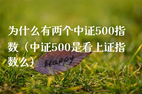 为什么有两个中证500指数（中证500是看上证指数么） (https://www.njaxzs.com/) 内盘期货 第1张