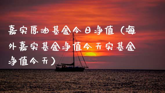 嘉实原油基金今日净值（海外嘉实基金净值今天实基金净值今天） (https://www.njaxzs.com/) 内盘期货 第1张